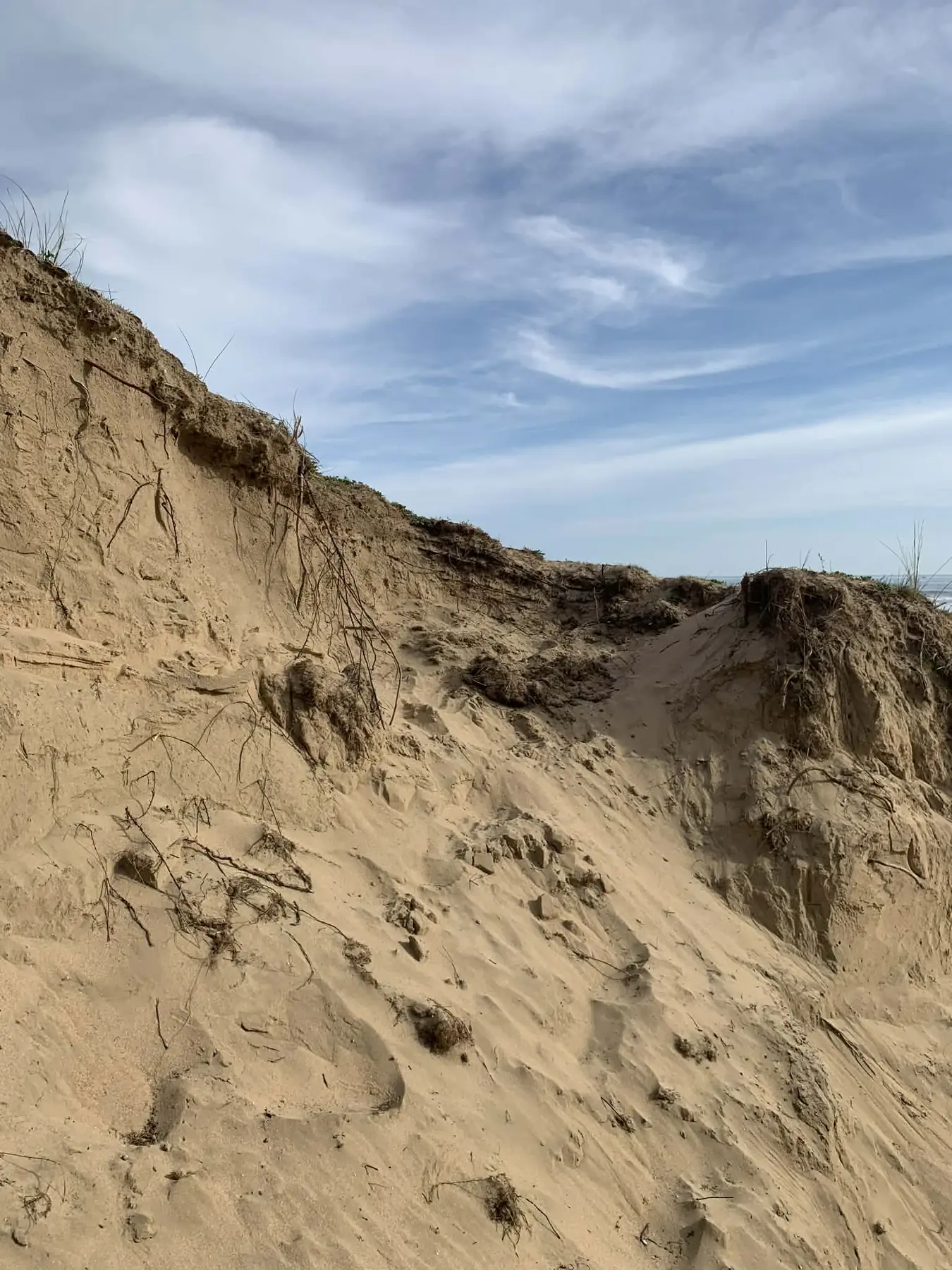 Dunes de sable et paysages d'Oléron